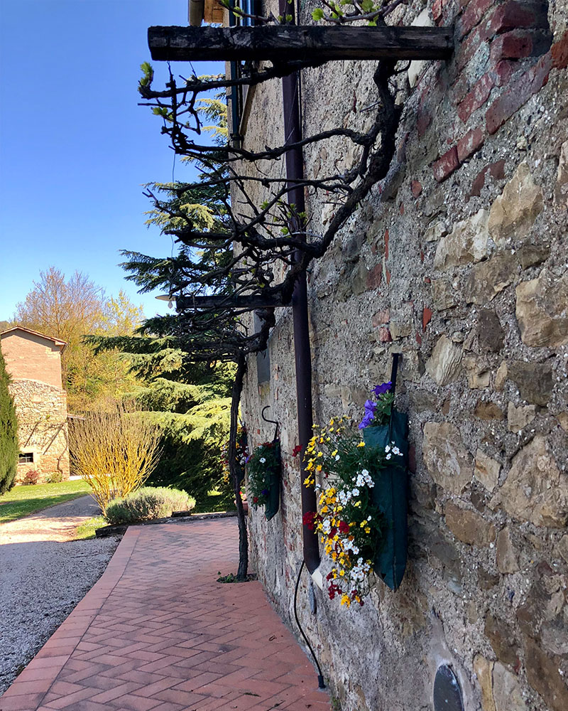 Interno di Casa Dinda - sala con camino e travi in legno